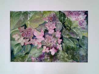 A watercolour entitled - Hydrangea