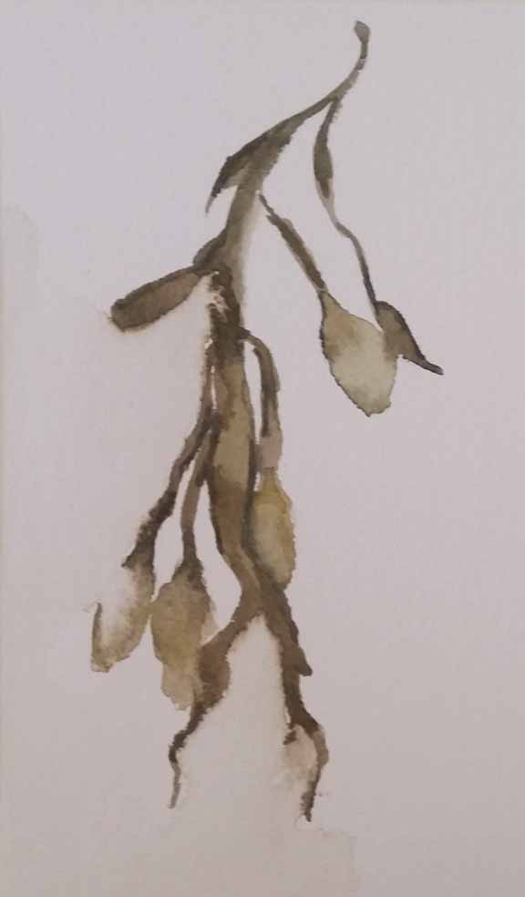 The work of a participant in the workshop-seaweed